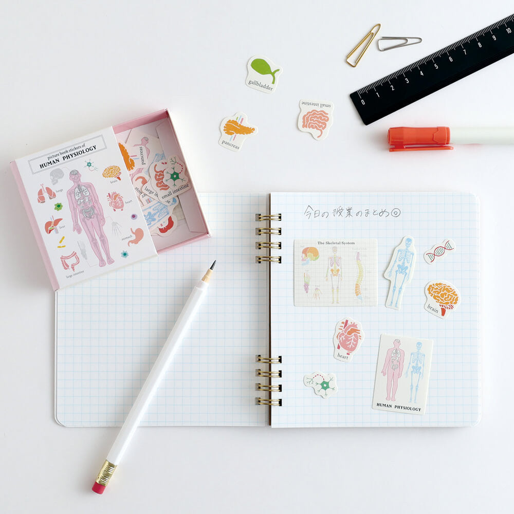Notatnik na spirali Study Holic | Mikrobiologia