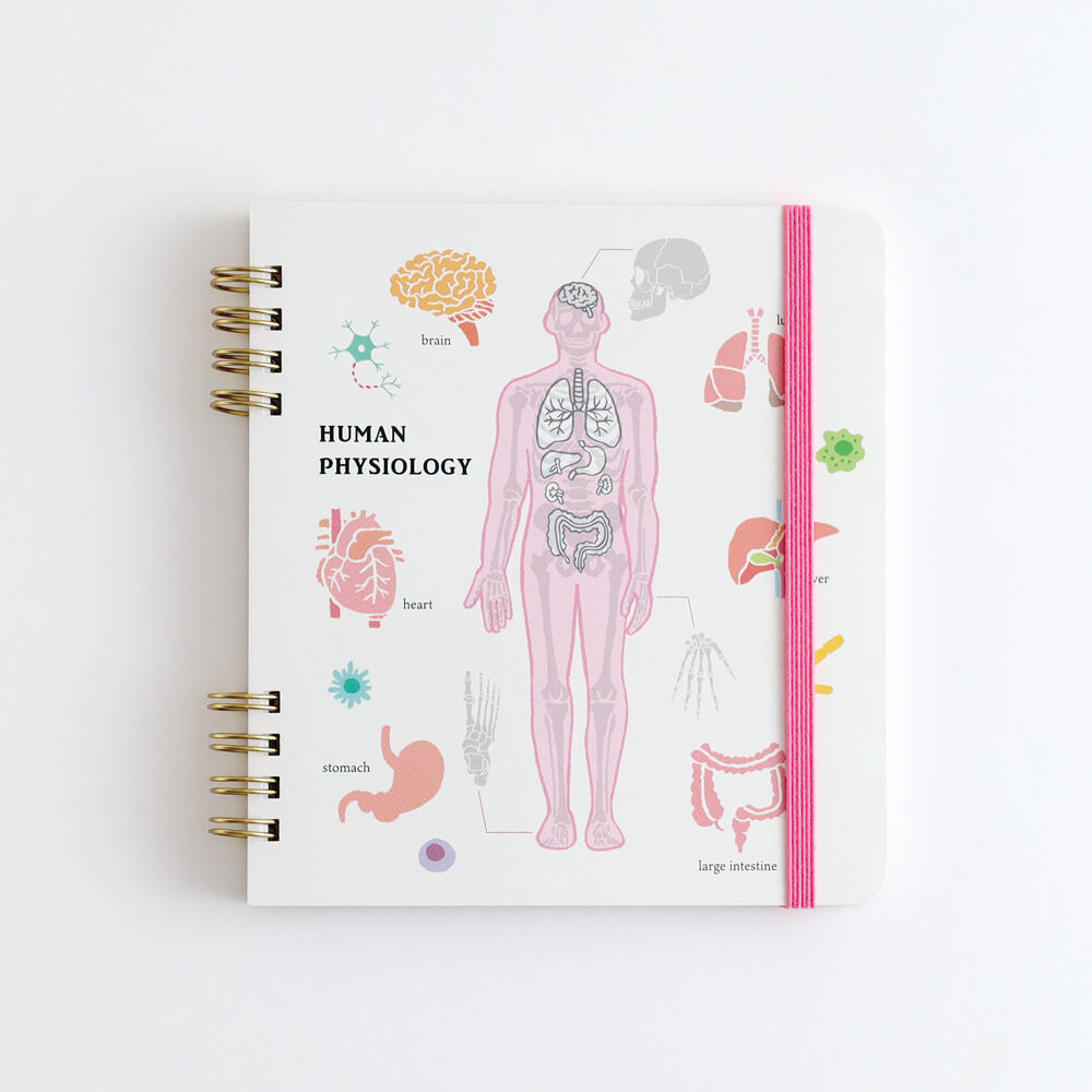 Notatnik na spirali Study Holic | Fizjologia człowieka