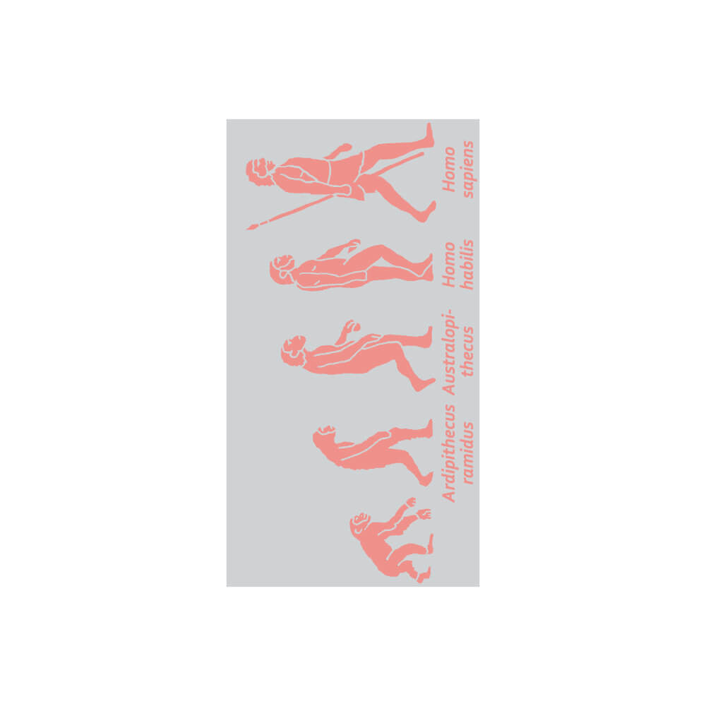 Długopis Study Holic | Ewolucja