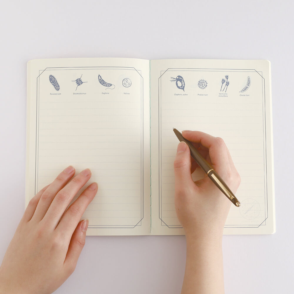 Notatnik Study Holic A5 | Mikrobiologia