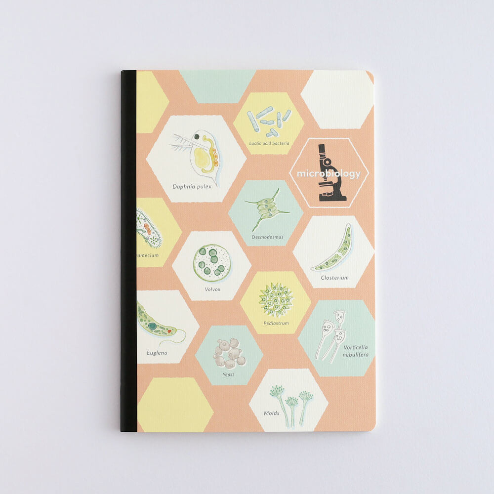 Notatnik Study Holic A5 | Mikrobiologia