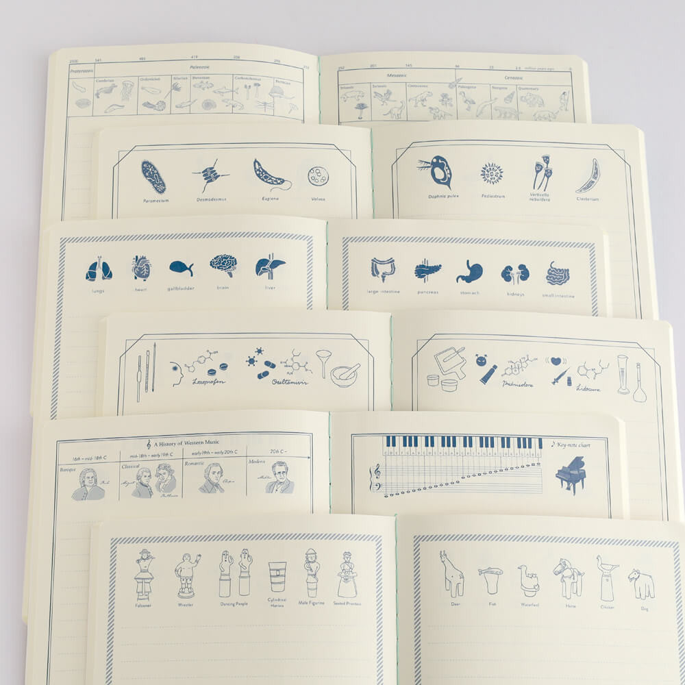 Notatnik Study Holic A5 | Farmacja