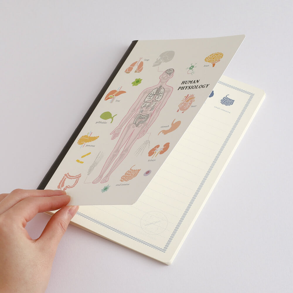 Notatnik Study Holic A5 | Fizjologia człowieka