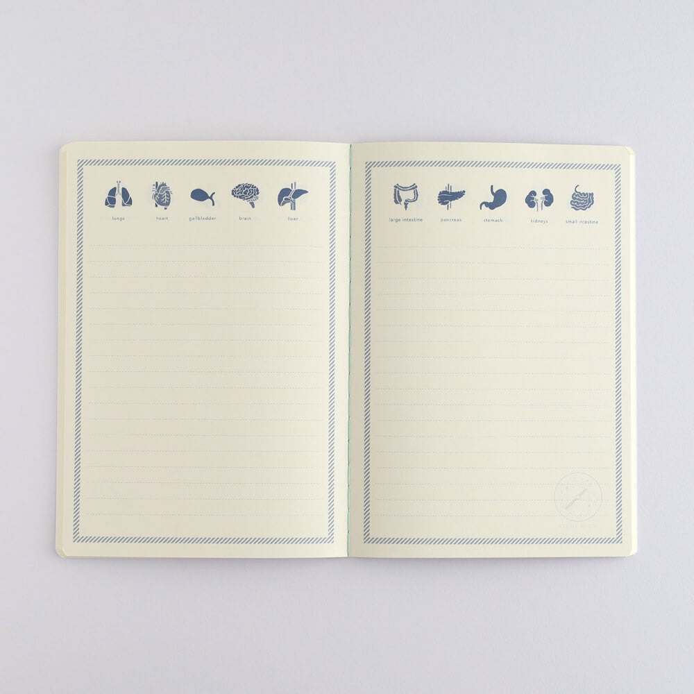 Notatnik Study Holic A5 | Fizjologia człowieka