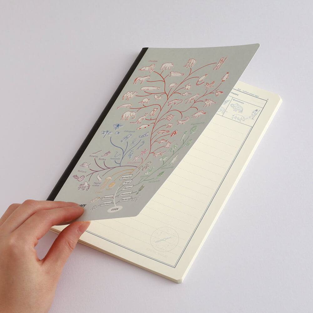 Notatnik Study Holic A5 | Biologia ewolucyjna