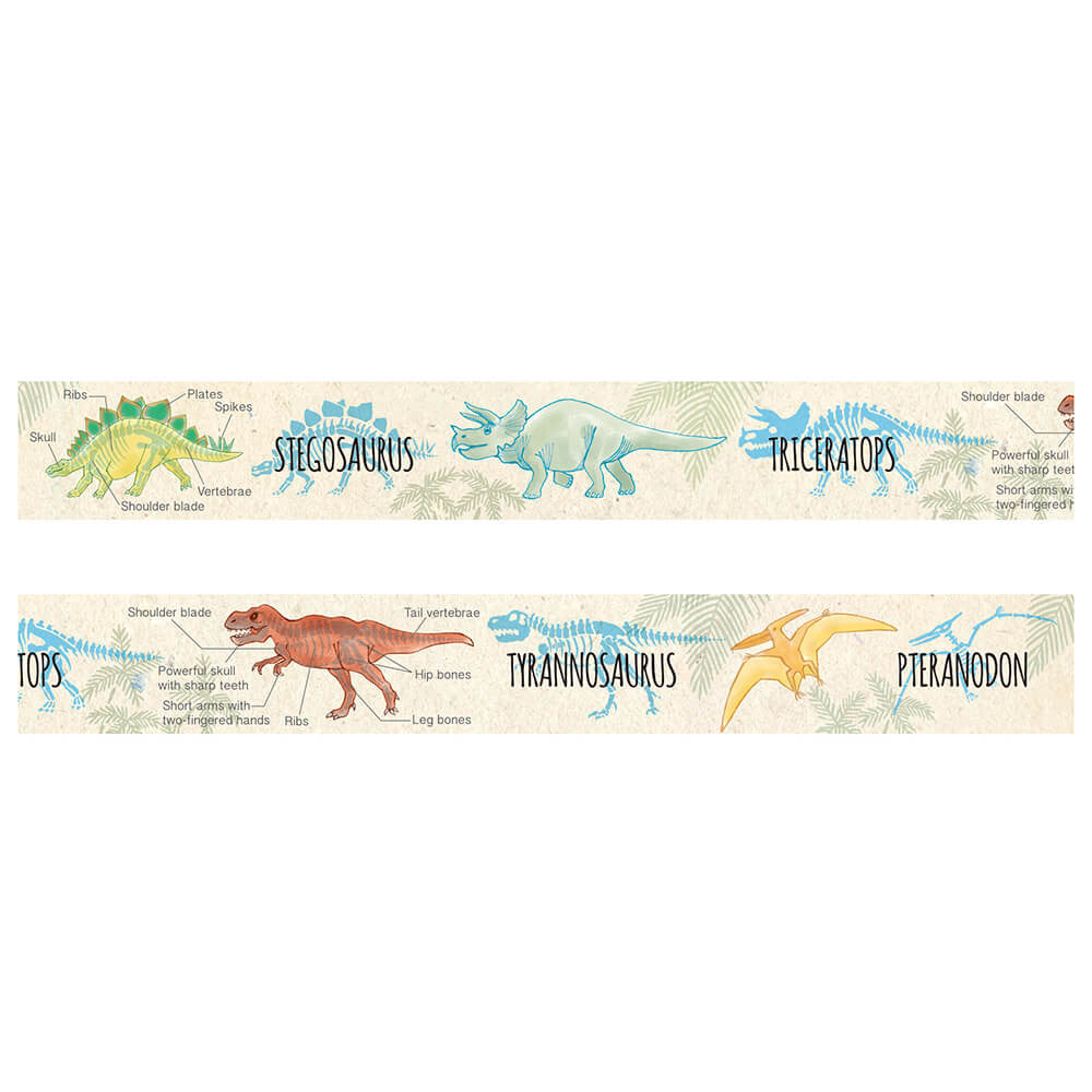 Taśma dekoracyjna Study Holic | Paleontologia