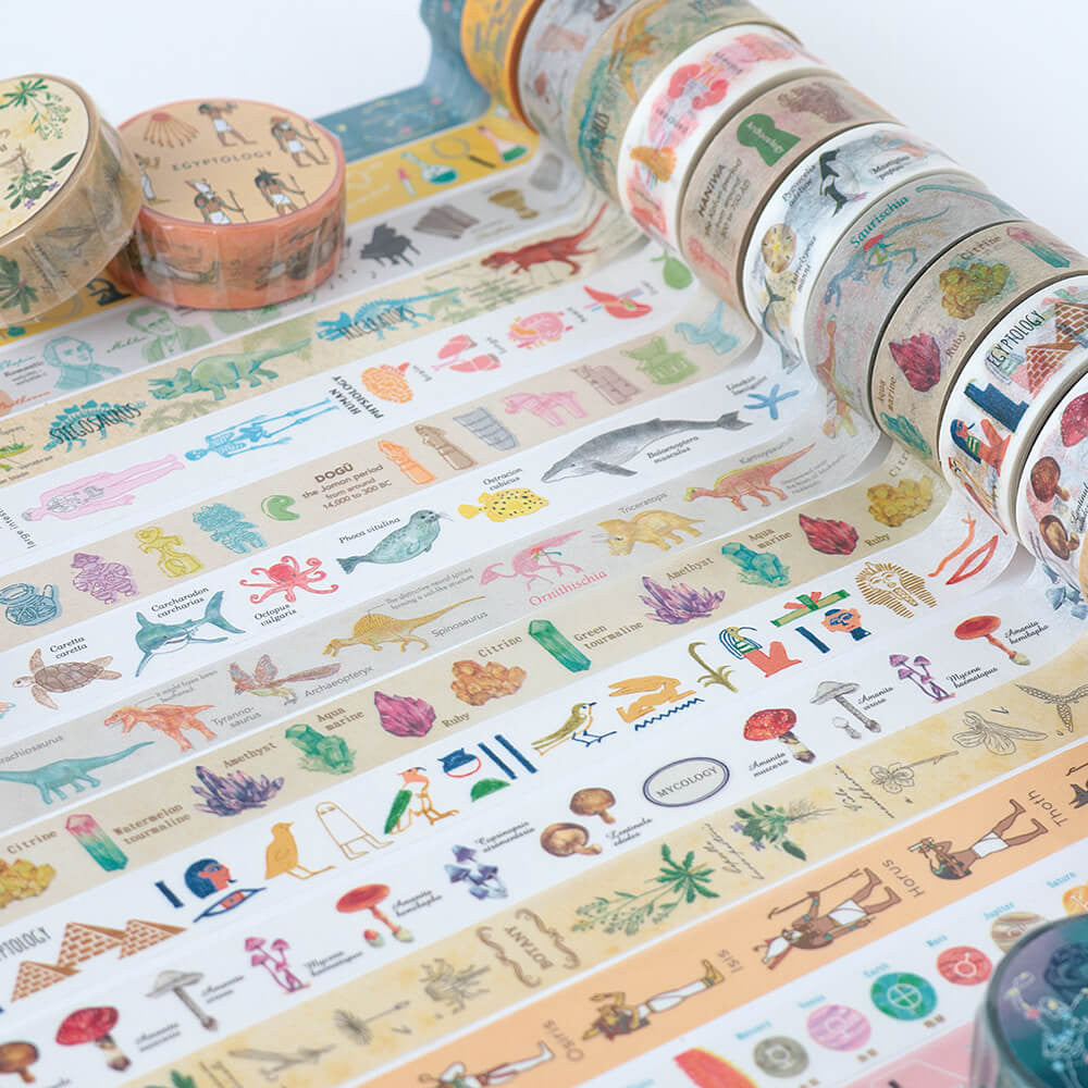 Taśma dekoracyjna Study Holic | Mikrobiologia