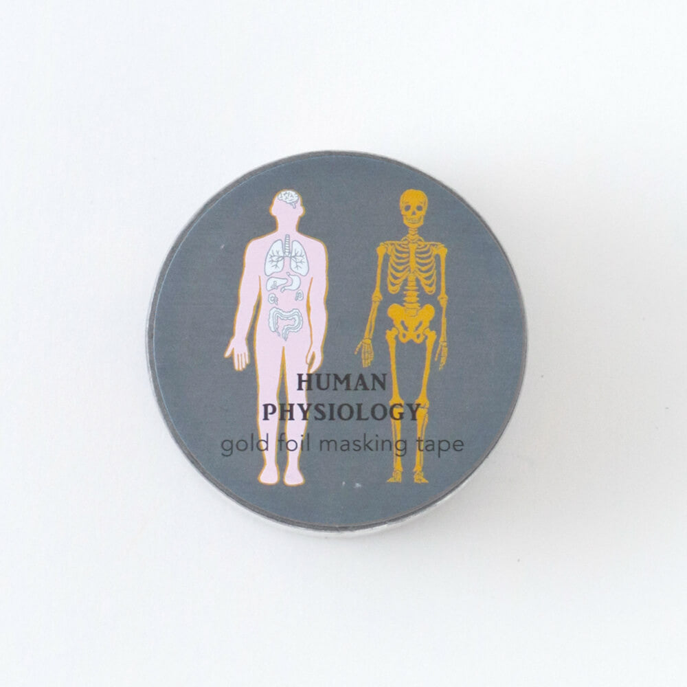 Taśma dekoracyjna Study Holic | Fizjologia człowieka