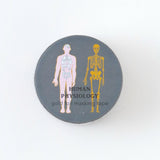 Taśma dekoracyjna Study Holic | Fizjologia człowieka