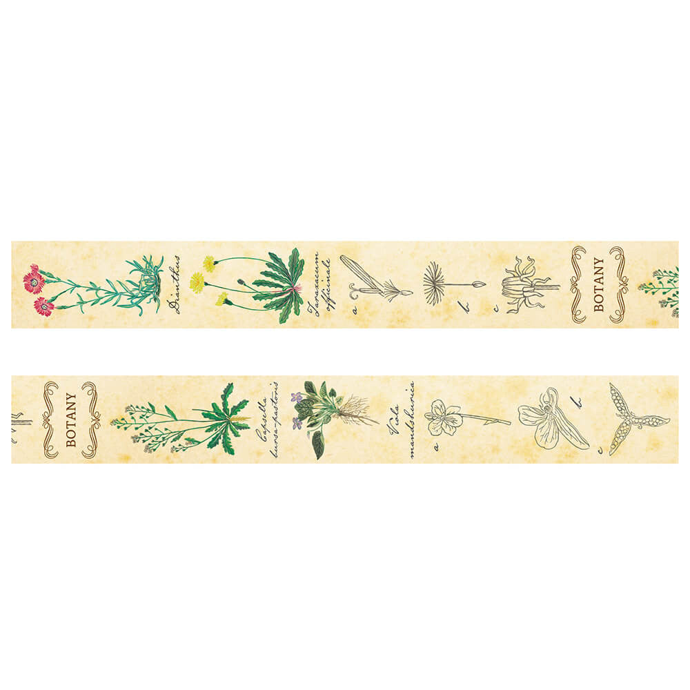 Taśma dekoracyjna Study Holic | Botanika