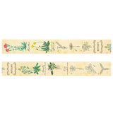 Taśma dekoracyjna Study Holic | Botanika