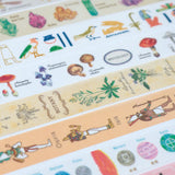 Taśma dekoracyjna Study Holic | Botanika