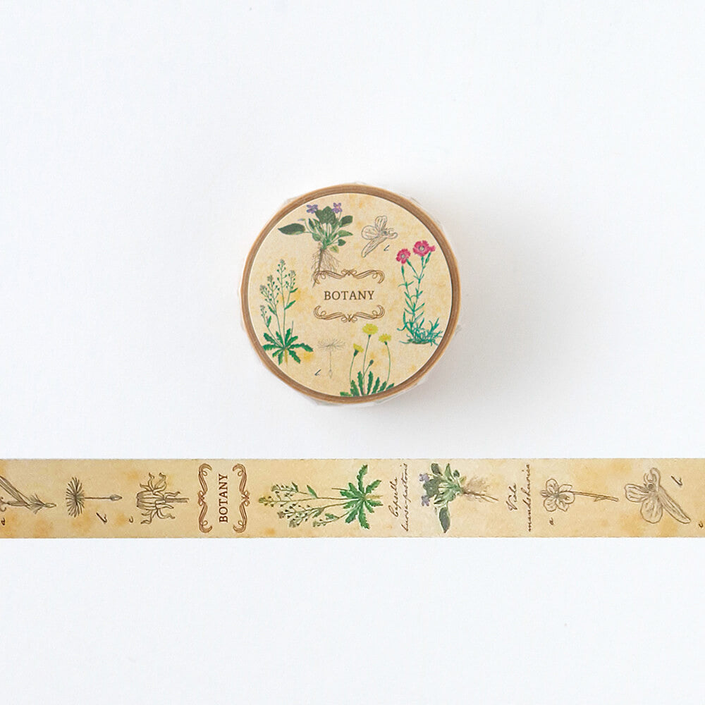 Taśma dekoracyjna Study Holic | Botanika
