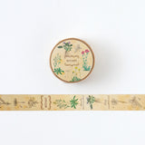 Taśma dekoracyjna Study Holic | Botanika