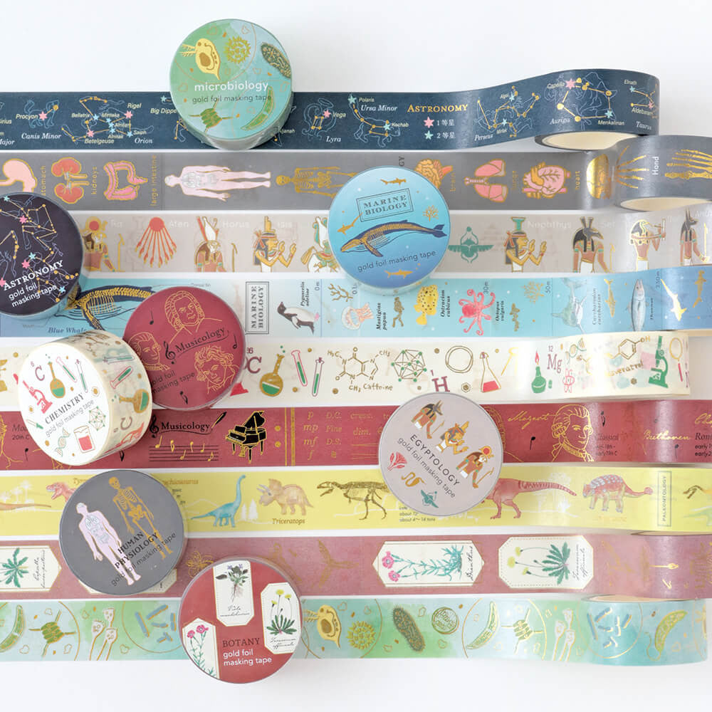 Taśma dekoracyjna Study Holic | Botanika 2