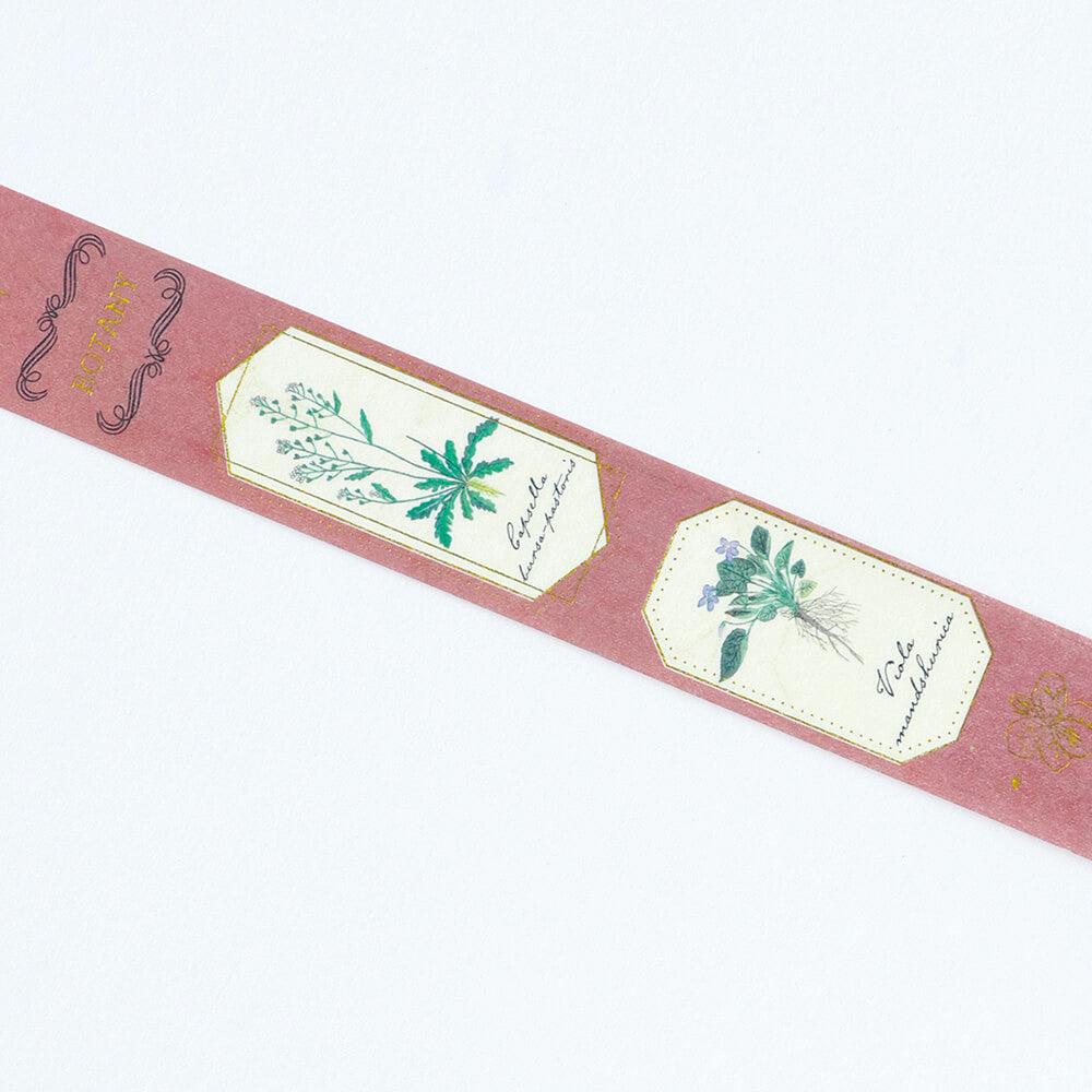 Taśma dekoracyjna Study Holic | Botanika 2