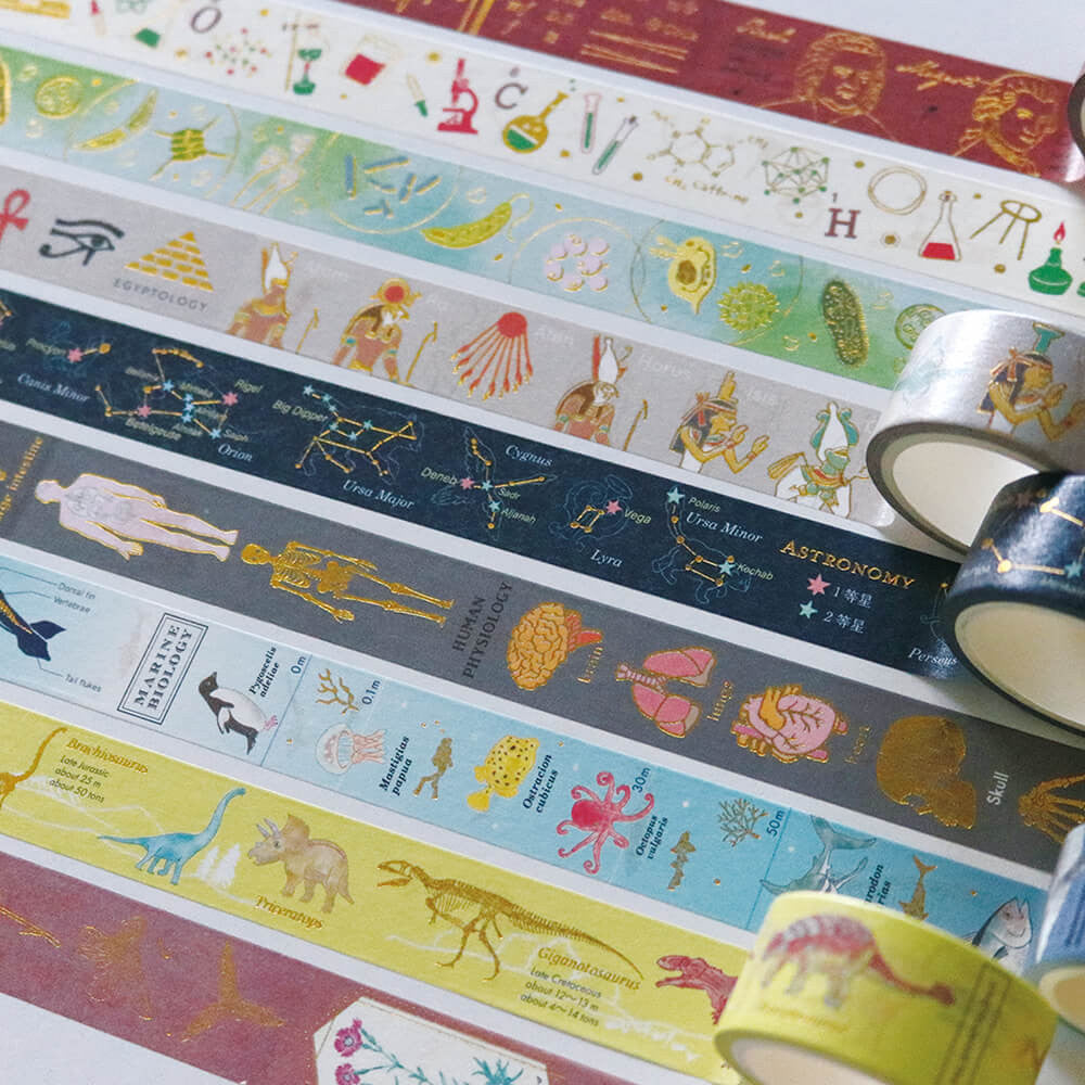 Taśma dekoracyjna Study Holic | Botanika 2