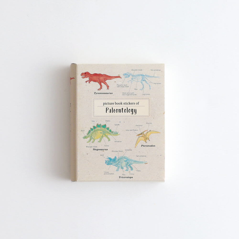 Zestaw naklejek Study Holic | Paleontologia