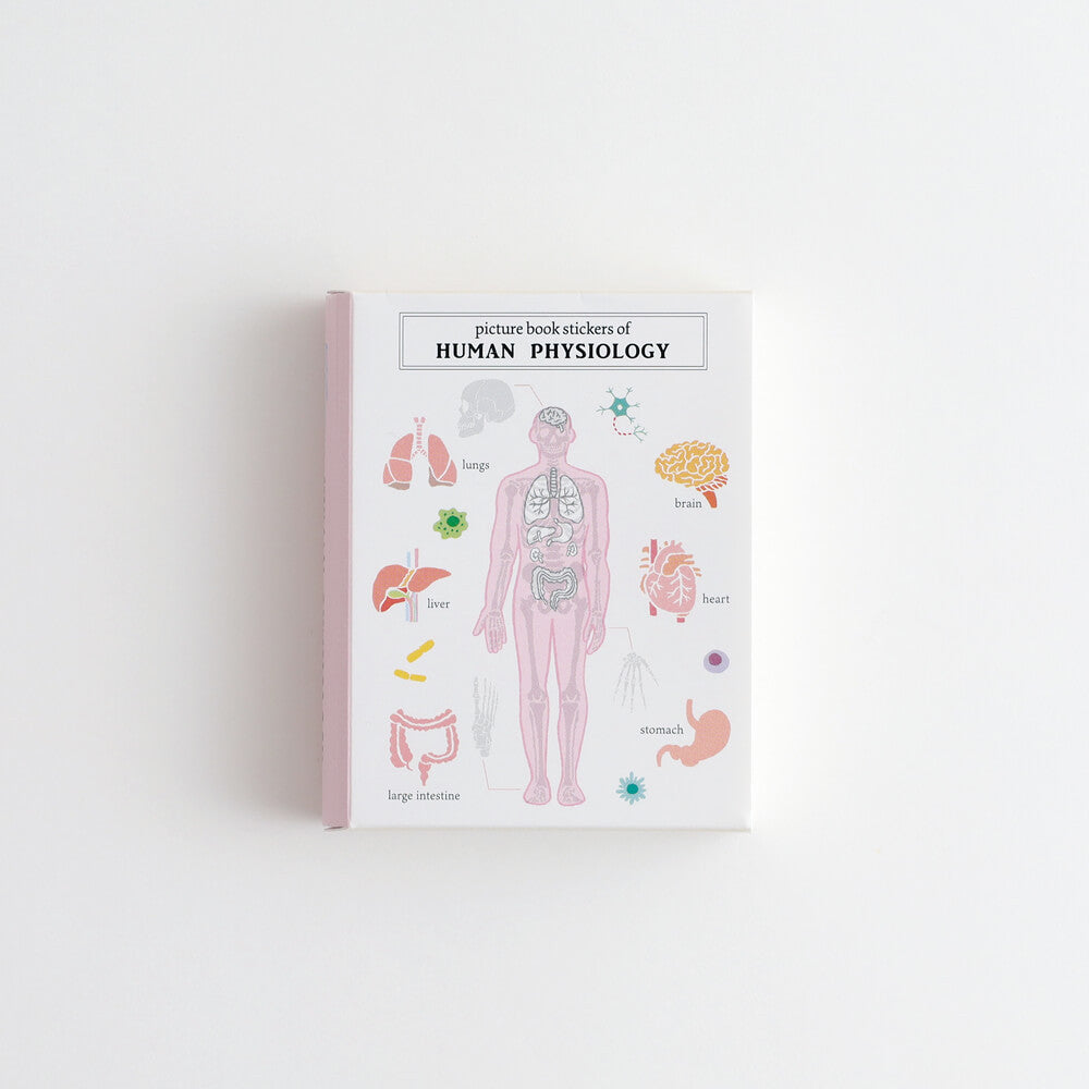 Zestaw naklejek Study Holic | Fizjologia człowieka