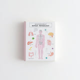 Zestaw naklejek Study Holic | Fizjologia człowieka