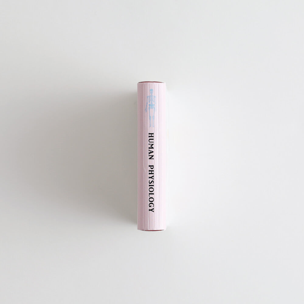 Zestaw naklejek Study Holic | Fizjologia człowieka