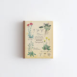 Zestaw naklejek Study Holic | Botanika