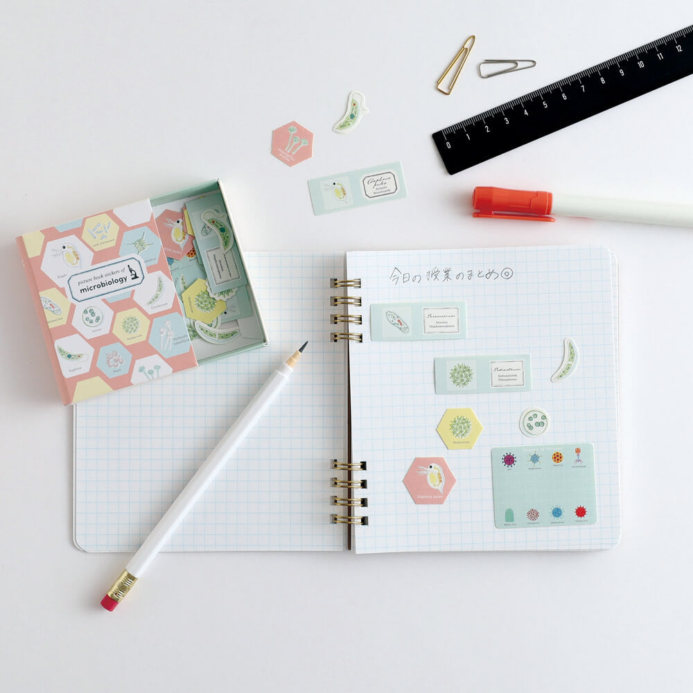 Zestaw naklejek Study Holic | Botanika