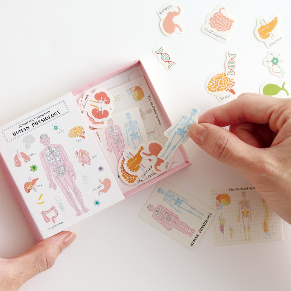 Zestaw naklejek Study Holic | Muzykologia