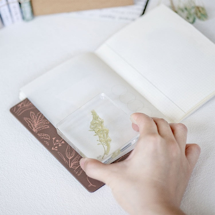 Mata do cięcia 10x15 cm | Rośliny