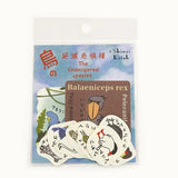 Zestaw naklejek Gatunki zagrożone | Ptaki