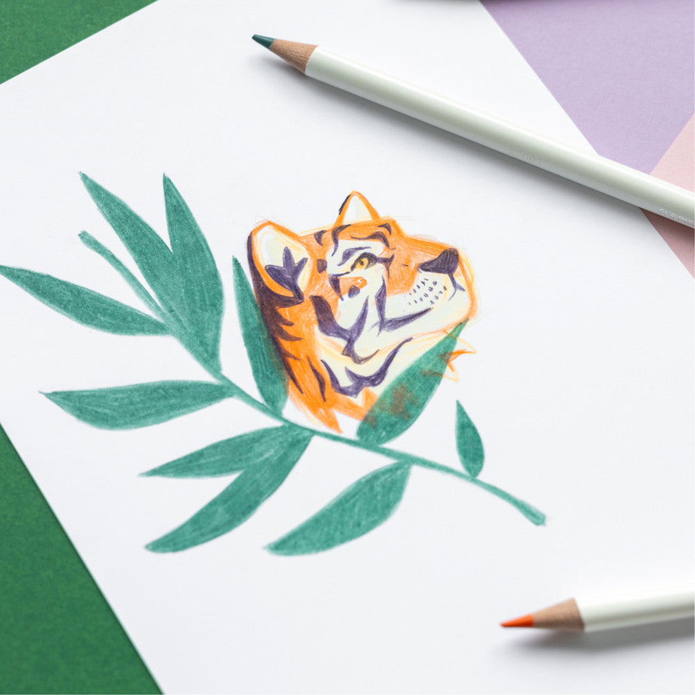 Zestaw kredek Tombow Irojiten | Rainforest