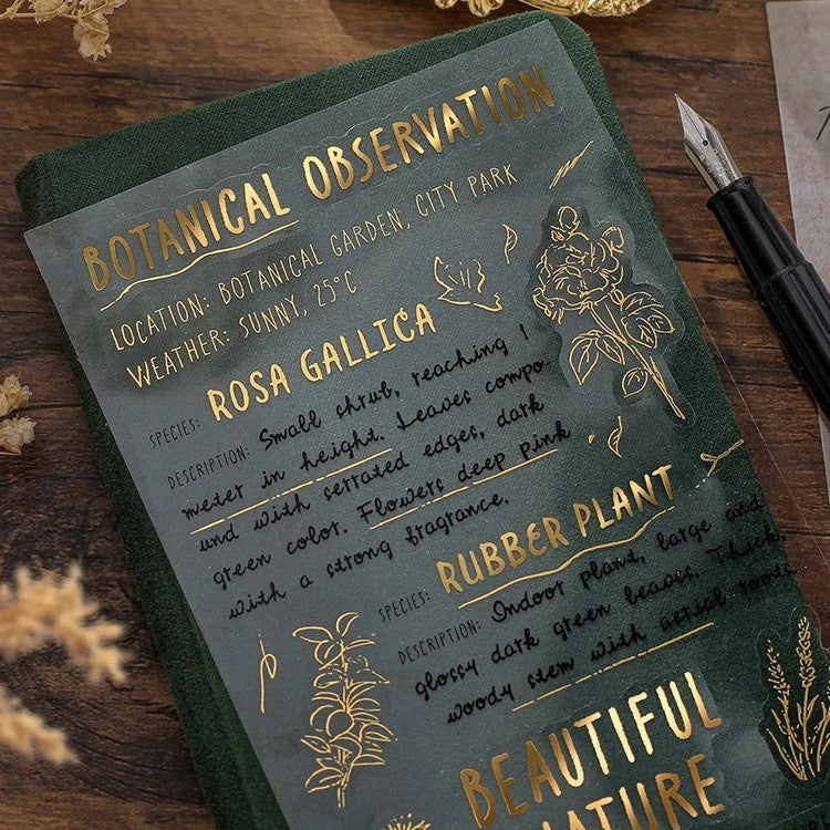 Naklejki Collage | Szkic