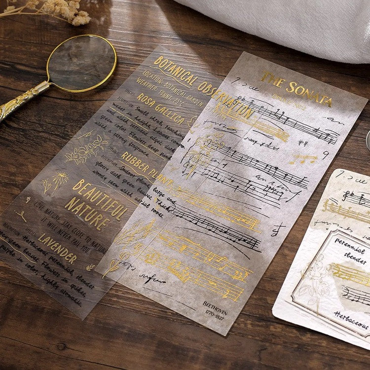 Naklejki Collage | Szkic