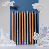 Set of 10 Caran d'Ache Toile De Jouy Watercolor Pencils | Limited Edition