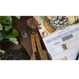 Kalendarz ścienny Bomo Art 2026