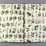 Papier kreatywny 50 x 70 cm | Flora