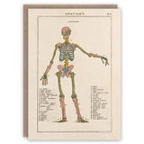 Kartka okolicznościowa | Anatomia