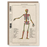 Kartka okolicznościowa | Anatomia