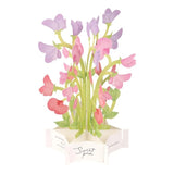 Kartka okolicznościowa 3D Blooming | Groszek pachnący