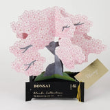 3D Bonsai Occasion Card | Cherry Blossom