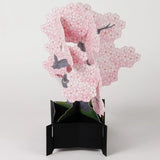 3D Bonsai Occasion Card | Cherry Blossom