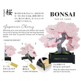3D Bonsai Occasion Card | Cherry Blossom