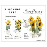 3D Blooming Greeting Card | Sunflowers