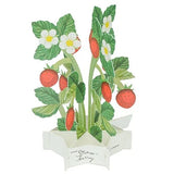 3D Blooming Occasion Card | Strawberries