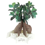 Kartka okolicznościowa 3D Blooming | Banyan