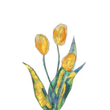 Zestaw do malowania Kuretake Exploring Watercolor | Kwiaty