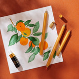 Cienkopis z wymiennymi końcówkami Tom's Studio Lumos Pro Single Tip | Clementine