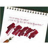 Atrament Wearingeul Literatura światowa | Porwany Mikołaj | Edycja Limitowana